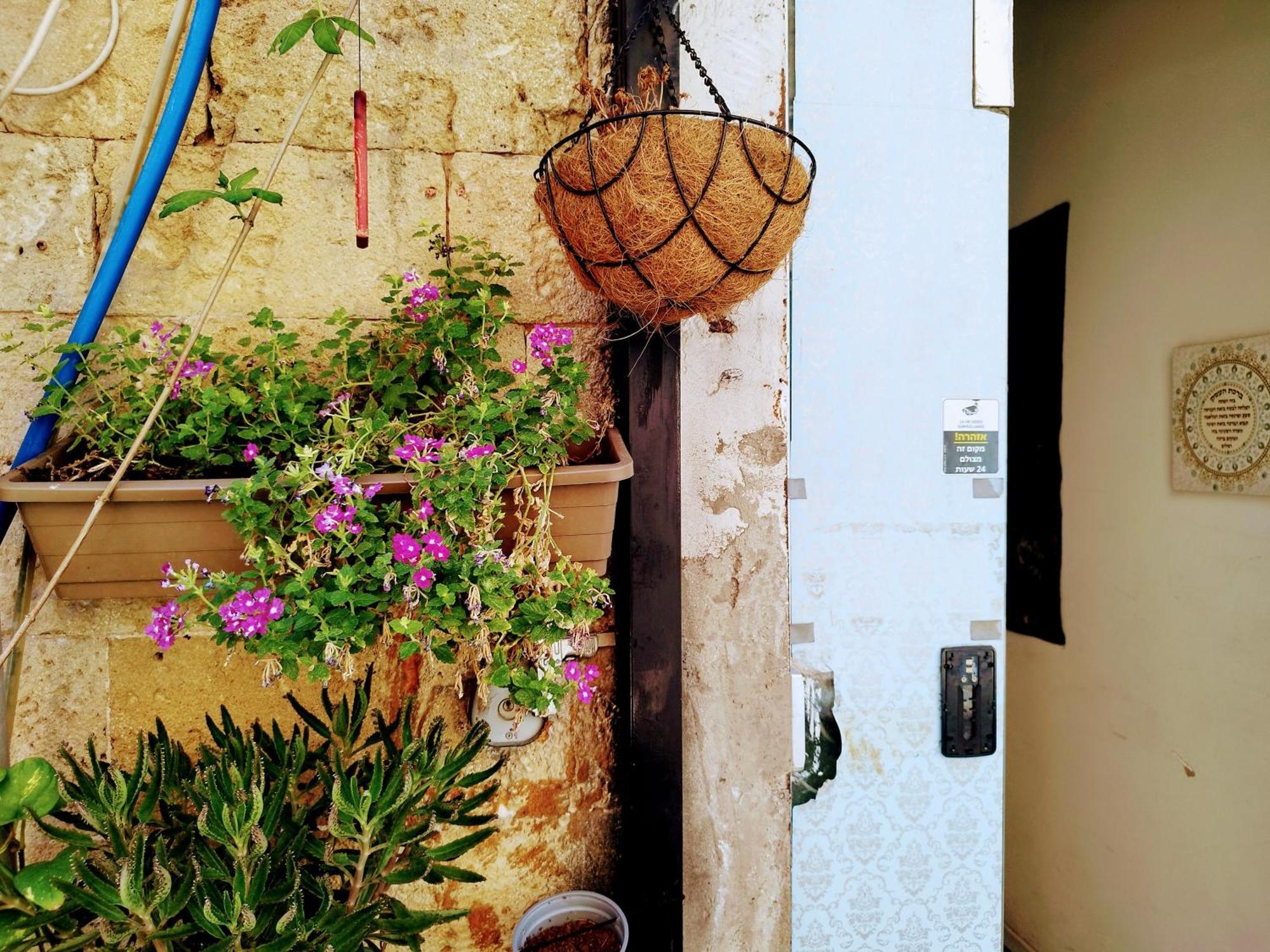 Хостел Polihosts Old Jaffa Тель-Авив Экстерьер фото